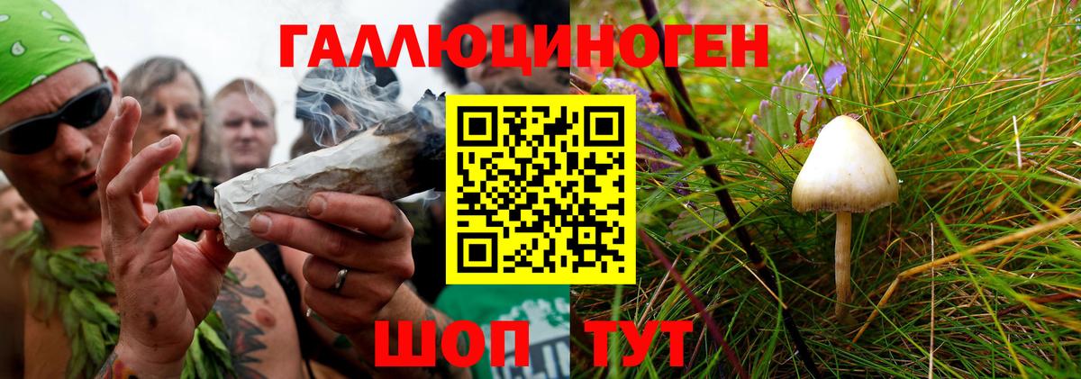 Десногорск  Псилоцибиновые грибы Psilocybe  Вход с VPN  Псилоцибиновые грибы MAGIC MUSHROOMS 